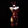 Lingerie Cosplay